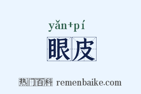 眼皮是什么意思的图片